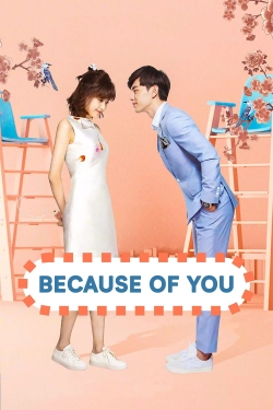 Watch Because of You movies free Primewire