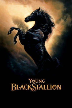 Watch Young Black Stallion movies free Primewire