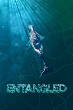 Watch Entangled: The Race to Save Right Whales from Extinction movies free Primewire