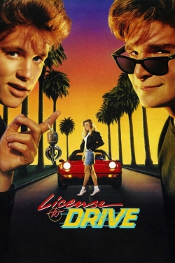 Watch License to Drive movies free Primewire