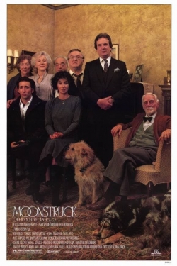 Watch Moonstruck movies free Primewire