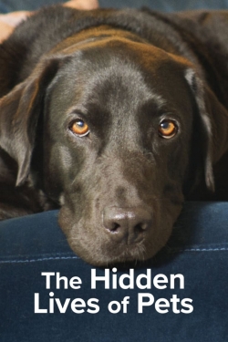 Watch The Hidden Lives of Pets movies free Primewire