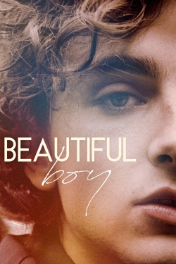 Watch Beautiful Boy movies free Primewire