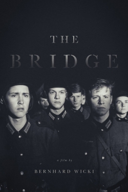 Watch The Bridge movies free Primewire