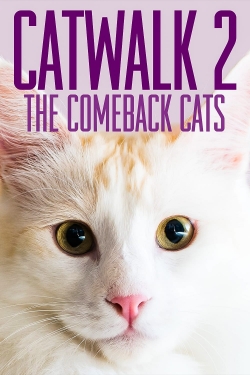 Watch Catwalk 2: The Comeback Cats movies free Primewire