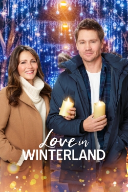 Watch Love in Winterland movies free Primewire