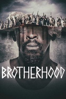 Watch Brotherhood movies free Primewire