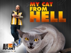 Watch My Cat from Hell movies free Primewire