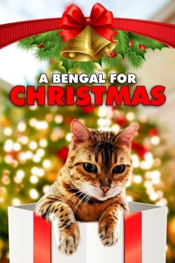 Watch A Bengal for Christmas movies free Primewire