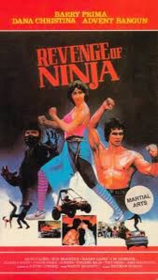 Watch Revenge of the Ninja movies free Primewire