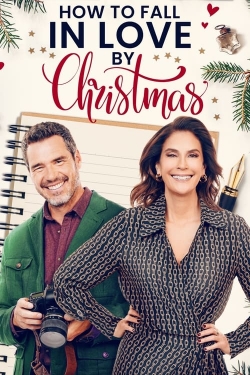 Watch How to Fall in Love by Christmas movies free Primewire