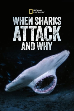 Watch When Sharks Attack... and Why movies free Primewire