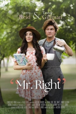 Watch Mr. Right movies free Primewire