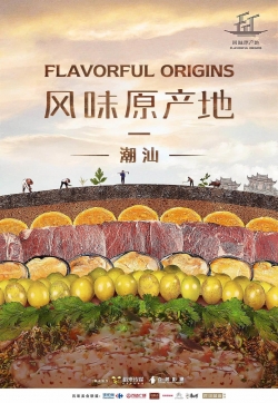 Watch Flavorful Origins movies free Primewire