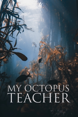 Watch My Octopus Teacher movies free Primewire