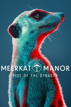 Watch Meerkat Manor: Rise of the Dynasty movies free Primewire