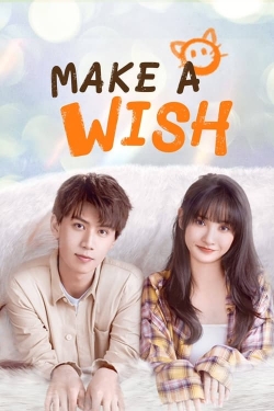 Watch Make a Wish movies free Primewire