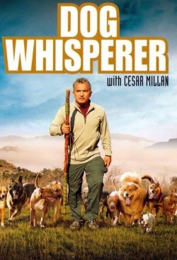 Watch Dog Whisperer movies free Primewire