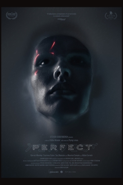 Watch Perfect movies free Primewire