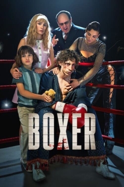 Watch Boxer movies free Primewire