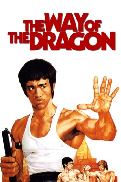 Watch The Way of the Dragon movies free Primewire