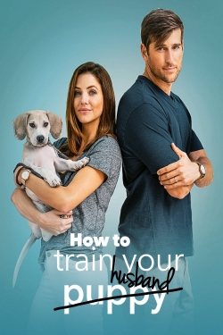 Watch How to Train Your Husband movies free Primewire