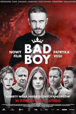 Watch Bad Boy movies free Primewire