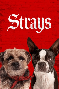 Watch Strays movies free Primewire