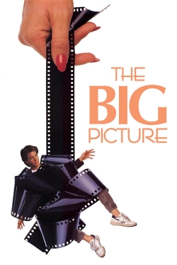 Watch The Big Picture movies free Primewire