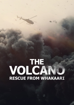 Watch The Volcano: Rescue from Whakaari movies free Primewire