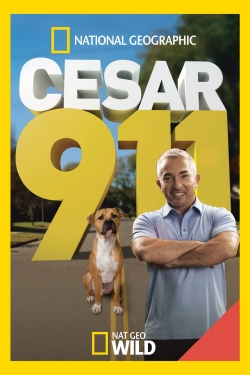 Watch Cesar 911 movies free Primewire