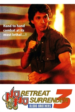 Watch No Retreat, No Surrender 3: Blood Brothers movies free Primewire