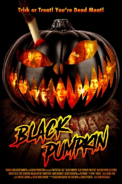 Watch Black Pumpkin movies free Primewire