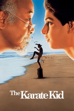 Watch The Karate Kid movies free Primewire