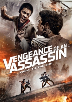 Watch Vengeance of an Assassin movies free Primewire