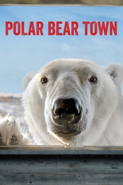 Watch Polar Bear Town movies free Primewire