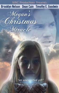 Watch Megan's Christmas Miracle movies free Primewire