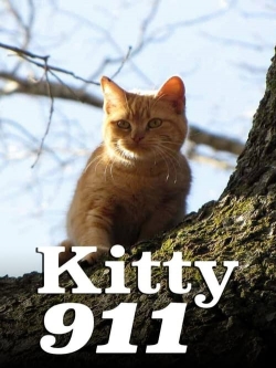 Watch Kitty 911 movies free Primewire